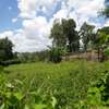 0.5 ac Residential Land in Thome thumb 4