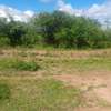 200 Acres Agricultural Land Is For Sale In Kitui Kithyoko thumb 0