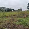 Residential Land at Kamiti Ridge thumb 7