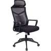 Spine Mesh Back High Back Ergonomic Office Chair thumb 4