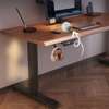 Office Desk: 1.2m Electric Programmable Standing Desk thumb 1