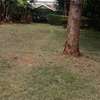 0.25 ac Land in Thika thumb 5