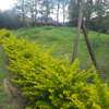 Lovely One Eighth Plots in Ongata Rongai thumb 4