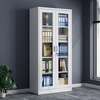 Office Cabinet : Full glass office storage cabinet thumb 3