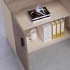 Office Cabinet : 2-Door Half Office Storage Cabinet thumb 3