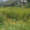 1.36 Acres for Sale in Lavington Nairobi Kenya thumb 3