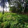 Residential Land at Old Kitisuru thumb 16