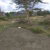 50*100 land for sale Nakuru Mbaruk Greensteds thumb 4