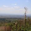 50*100 Land For Sale In Nakuru thumb 8