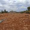 Prime residential plots for sale in Kikuyu migumoini thumb 2