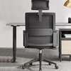 Office Chair: Ergonomic Modern Captain Mesh Seat thumb 4