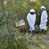 Hire a Beekeeping Service for Project - Call us today thumb 8