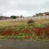 Residential Land in Runda thumb 1