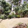 5 Bed Townhouse with Garden in Spring Valley thumb 2