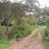 500 m² Residential Land in Ngong thumb 5