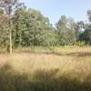 Kithimu 1½ Acres thumb 5