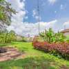 0.5 ac Land in Rosslyn thumb 8