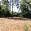 Prime 1/2 acre Commercial land in Thogoto thumb 2