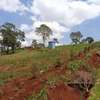 12.5 ac Residential Land in Ngong thumb 2