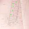 BOGANI KAREN HALF ACRE RESIDENTIAL LAND ON QUICK SALE thumb 8