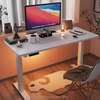 Adjustable Electric Standing Desk thumb 0