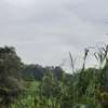 4 ac Land in Kitisuru thumb 0