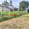 0.05 ha Residential Land at Ondiri thumb 18