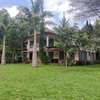 Villa for rent in Karen Nairobi thumb 1