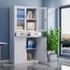 Office Cabinet: Secure 2 Door Metallic Filing Cabinet thumb 0