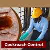 Expert Homes Fumigation & Pest control - Bed Bugs & Cockroaches control | Best Office & Domestic Cleaning Nairobi. thumb 2