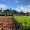 6,000 m² Land in Limuru thumb 6
