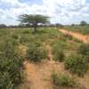 163 Acres Touching Makindu-Wote Road Is Available For Sale thumb 2