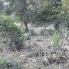 80,940 m² Commercial Land in Kwale County thumb 19