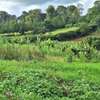 1 ac Residential Land at Kentmere thumb 3