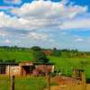 117 ac Land at Ngorongo Area thumb 3