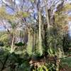 1 ac Land in Lavington thumb 0