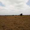 200 Acres of Land For Sale in Isinya thumb 1