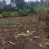 40*80ft plots for sale at Makuyu near Makuyu Teachers c thumb 3