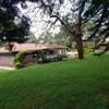 4 Bed House with En Suite at Mugumo Road thumb 19