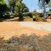 1 ac Land at Banana Raini Road thumb 2