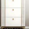 Office Cabinet : Modern Adjustable Shoe Rack Cabinet thumb 2