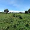 5 ac Land at Burguret thumb 15