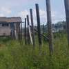 50by100 residential prime plot for sale thumb 0