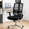 Office Chair: Orthopedic Office Chair thumb 0
