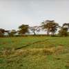 4,200 Acres of Land For Sale in Rumuruti, Laikipia thumb 2
