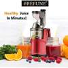 Rebune Heavy Commercial Slow Juicer Juice Extractor Machine thumb 0