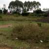 0.125 ac Commercial Land at Kayole thumb 2