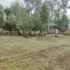 1/2 acre for sale Karen off ndege road thumb 9
