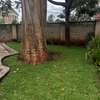 4 Bed Apartment with En Suite in Westlands Area thumb 12