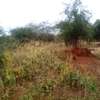 153 Acres of Land For Sale in Ngatateak - Namanga Rd thumb 0